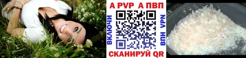 Альфа ПВП СК КРИС  Карасук 