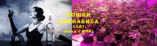 гидра Бородино