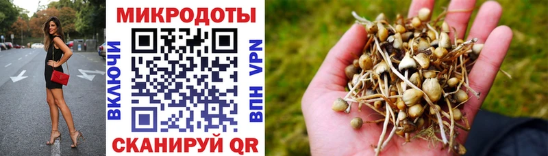 Галлюциногенные грибы Psilocybine cubensis  это Telegram  Карасук 