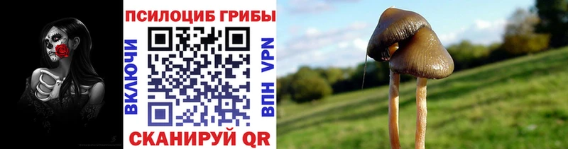 Псилоцибиновые грибы мухоморы Карасук